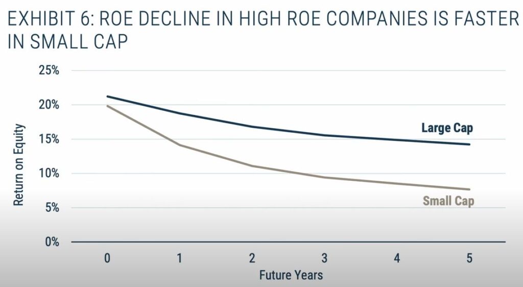 Return on Equity Small Cap